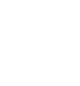 pt-pirie-logo-white